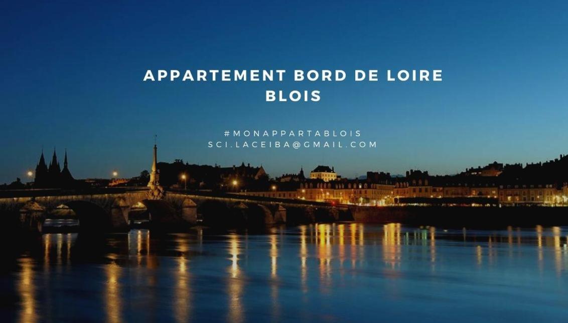 ブロワDuplex 60 M2 Bord De Loireアパートメント エクステリア 写真