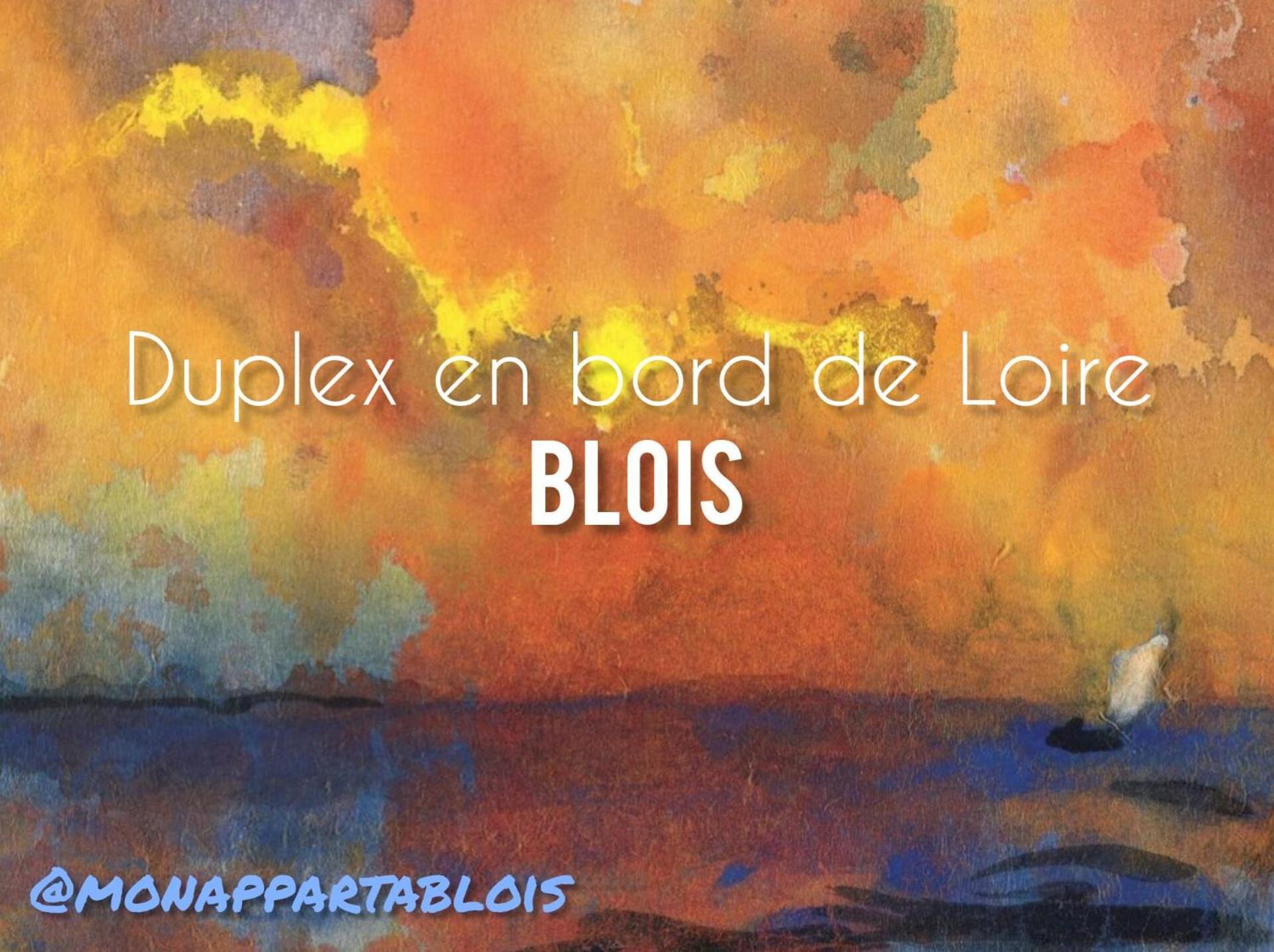 ブロワDuplex 60 M2 Bord De Loireアパートメント エクステリア 写真