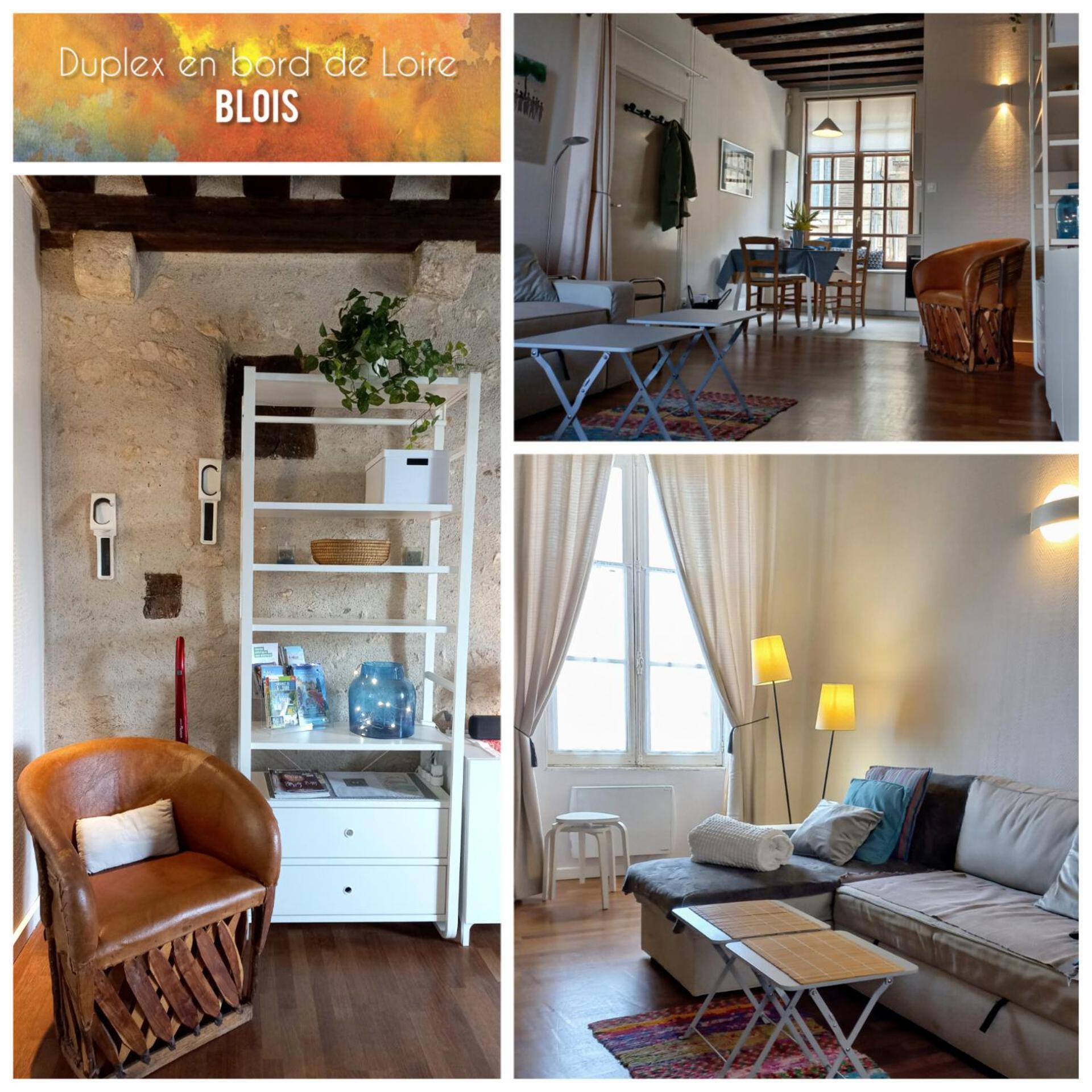 ブロワDuplex 60 M2 Bord De Loireアパートメント エクステリア 写真